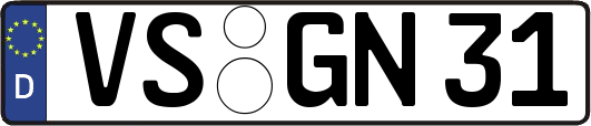 VS-GN31