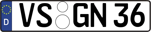 VS-GN36