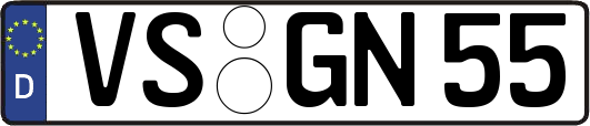VS-GN55