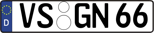 VS-GN66