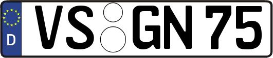 VS-GN75