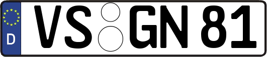 VS-GN81
