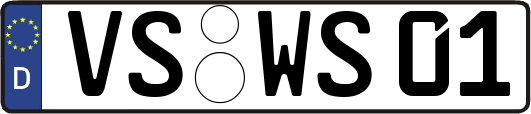 VS-WS01