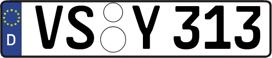 VS-Y313