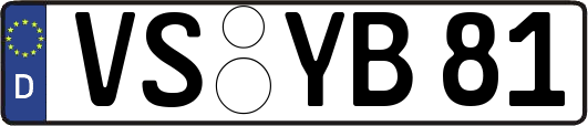 VS-YB81