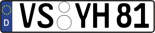 VS-YH81