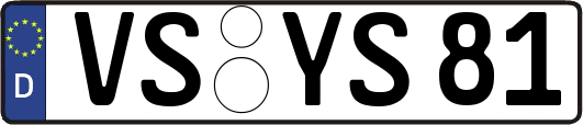 VS-YS81