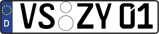 VS-ZY01
