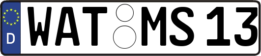 WAT-MS13