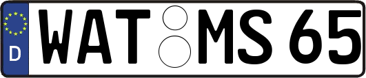 WAT-MS65