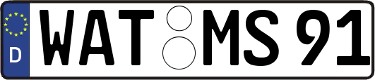 WAT-MS91