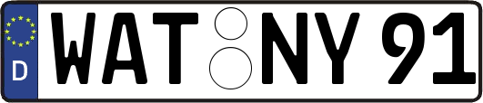 WAT-NY91