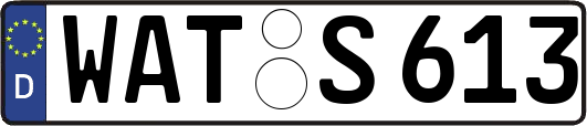 WAT-S613