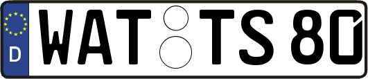 WAT-TS80