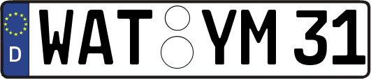 WAT-YM31