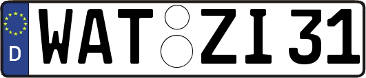 WAT-ZI31