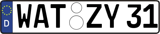 WAT-ZY31