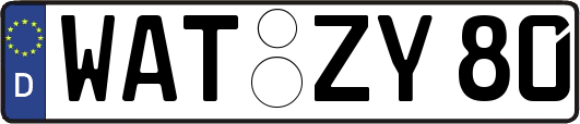 WAT-ZY80