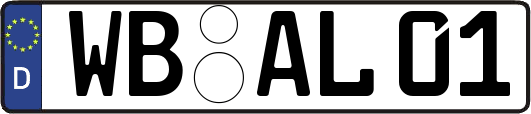 WB-AL01