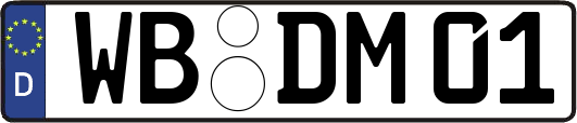 WB-DM01