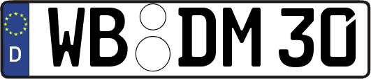 WB-DM30