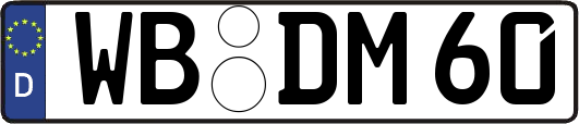 WB-DM60