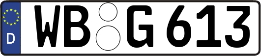 WB-G613