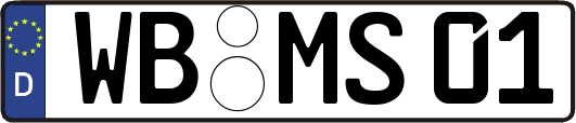 WB-MS01