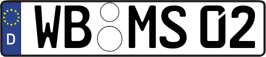 WB-MS02