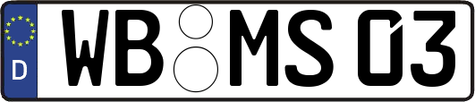 WB-MS03