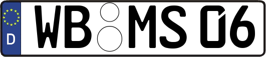WB-MS06