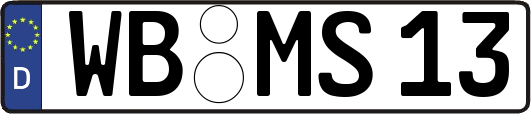 WB-MS13