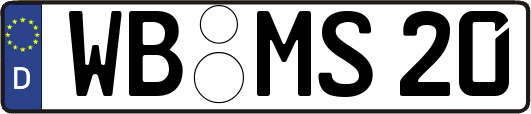WB-MS20