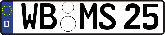 WB-MS25