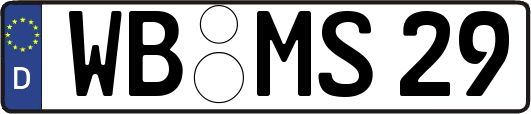 WB-MS29