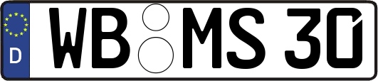 WB-MS30