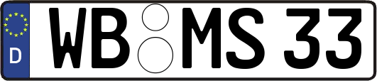 WB-MS33