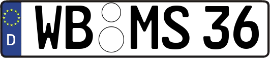 WB-MS36