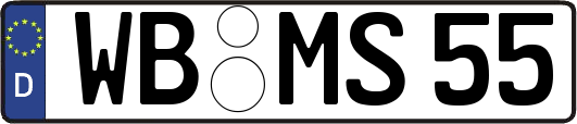 WB-MS55