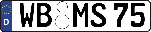 WB-MS75