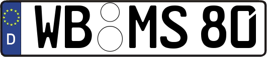 WB-MS80