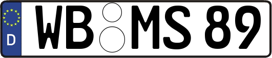 WB-MS89