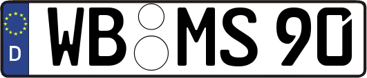 WB-MS90
