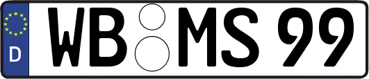 WB-MS99