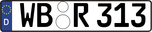 WB-R313