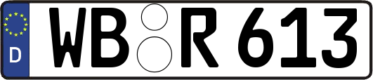 WB-R613