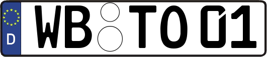 WB-TO01