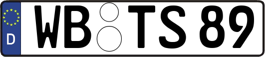 WB-TS89