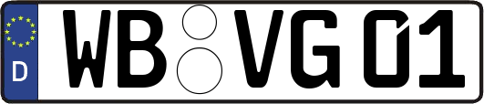 WB-VG01