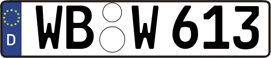 WB-W613